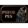 Americký pitbullteriér - Kovová tabuľka POZOR PES