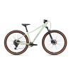 CTM Charisma 2.0 29 Zelená, Horský bicykel Hardtail (MTB Hardtail), Šport / Hobby Veľkosť rámu: M