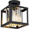 Globo Lighting Mathilde stropné svietidlo 1x40 W čierna-dymová 15697D