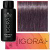 Schwarzkopf IGORA Vibrance farba Tón v tóne 6-0 Ciemny Blond