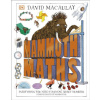 Mammoth Maths