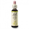 Dr. Bach Esence Olive 20 ml