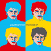 HAMMEL PAVOL - THE BEST OF (2LP)