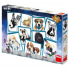 Puzzle 500 Pes Gump