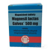 Magnesii Lactici 500 mg tbl. Galvex Magnéziové tablety 500 mg Galvex tbl.50 x 0,5 g