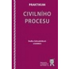 Praktikum civilního procesu