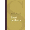 Básně do Slezska - Pletnicki Bretislav