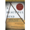 A Beautiful Mind