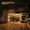 BLOSSOMS - BLOSSOMS (1CD)