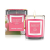 Areon Lily Of The Valley, 120g
