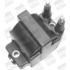 BorgWarner (BERU) Zapalovací cívka ZS421