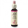 Dr. Bach Esence Pine 20 ml