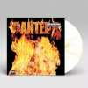 Reinventing The Steel Pantera Vinyl