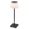 Rabalux TAENA LED stolná lampa 76010