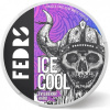 Feedrs ice cool evil berry hard 65 mg/g 20 vrecúšok