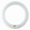 Philips G10q 22W 865 žiarivkový prst. Master Circular TL-E tl-e22w/865