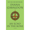 Echo in the Bone