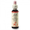 Dr. Bach Esence Red Chestnut 20 ml