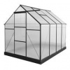 HECHT GREENHOUSE I. BLACK
