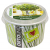 Ortolino - Oregano - VERDEMAX - nádobka, kokosový substrát, rýchlovzchádzajúce osivo