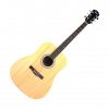 Akustická gitara Pasadena SG NT