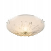 Stropné svietidlo, lampa - Stropná lampa Calimoro a 40402-1 Globo (Stropná lampa Calimoro a 40402-1 Globo)