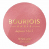 Bourjois Fard Pastel lícenka 16 Rose Coup de Foudre 2,5 g