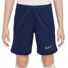 Šortky Nike Dri Fit Academy 25 Jr FZ9784 410 S