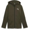 Puma Unisex Kids' Evostripe Full-Zip Hoodie Dark Olive 14 (2XL)