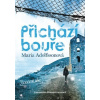Přichází bouře Doggerland 2 - Adolfssonová Maria
