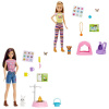 Mattel Barbie DreamHouse Adventure KEMPUJÚCA SESTRA SO ZVIERATKOM ASST