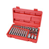 EXTOL PREMIUM Hlavica a hroty Torx súprava 35 ks, 1/4