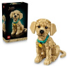 Lego Icons 11384 Šteniatko zlatého retrievera