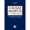 Causae mortis v chirurgii na přelomu tisíciletí - Pavel Pafko et al.