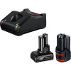 BOSCH GBA 12V 2.0Ah + GBA 12V 4.0Ah + GAL 12V-40 1.600.A01.NC9