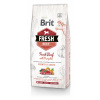 Brit Dog Fresh Beef & Pumpkin Puppy Large 12 kg