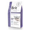 Brit Veterinary Diets Cat GF Gastrointestinal Low Fat 5 kg