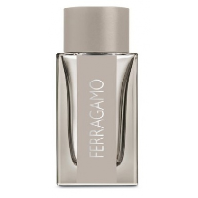 Salvatore Ferragamo Ferragamo Bright Leather toaletná voda pre mužov 30 ml