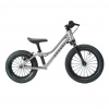 Rascal Punk Titanium