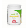 Superionherbs Boswellia Phytosome® Power Complex 90 kapsúl
