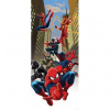 Dverová fototapeta - DV0315 - Spiderman 91cm x 211cm - Samolepiaca fólia