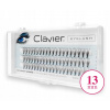 Riasy v trsoch Clavier