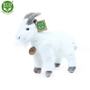 Rappa Plyšový cap/koza 22 cm ECO-FRIENDLY