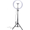 RIO Studio RGB Beauty ring light RL12