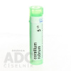 Corallium Rubrum gra.1 x 4 g 5CH