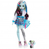 Monster High™: Frankie Stein bábika s malým maznáčikom a doplnkami - Mattel