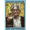 Říp nevybuchl - Ludvík Vaculík