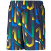 Puma Neymar Jr Future Printed Short Jr 605541-06 (89723) Black 140
