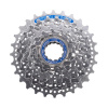 SHIMANO Kazeta CS-HG50 8-kolo 12-25z. strieborná