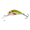 vobler Salmo Hornet 3,5cm / 2,2g - plávajúci Prevedenie: Ayu